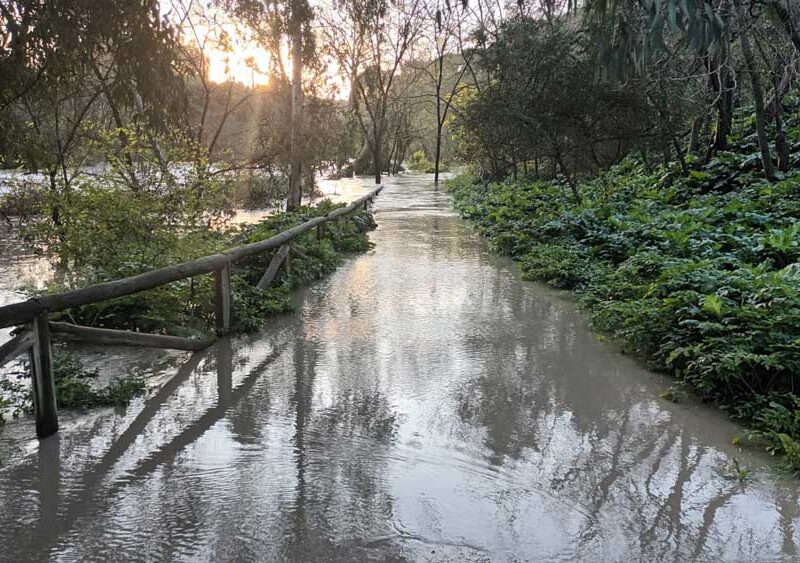 Inundación en los parques de la ribera del Guadaíra. - Ayuntamiento de Alcalá de Guadaíra