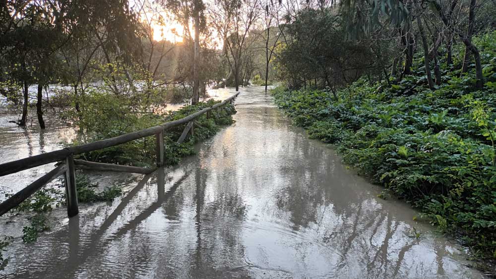 Inundación en los parques de la ribera del Guadaíra. - Ayuntamiento de Alcalá de Guadaíra