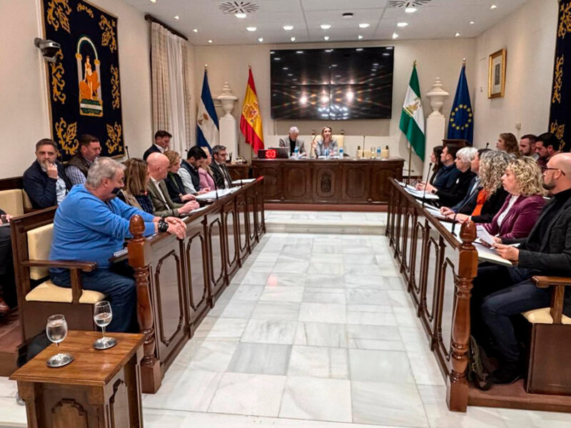 Pleno de marzo del Ayuntamiento de Alcalá - Cedida