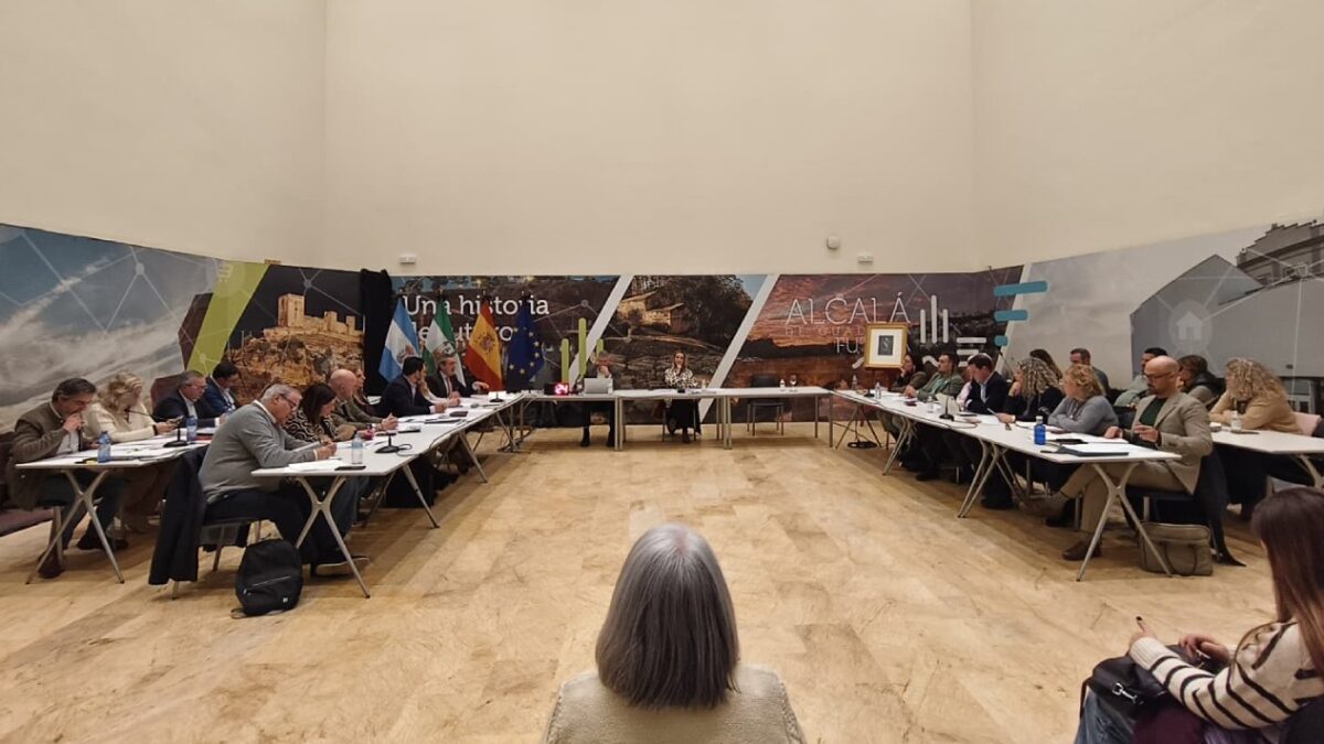 Pleno del Ayuntamiento de Alcalá de enero de 2026 - Marina Ortiz