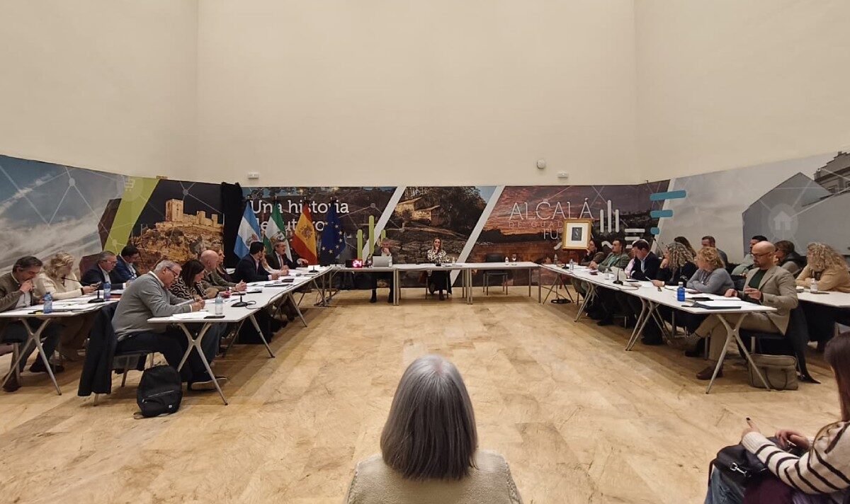 Pleno del Ayuntamiento de Alcalá de enero de 2026 - Marina Ortiz