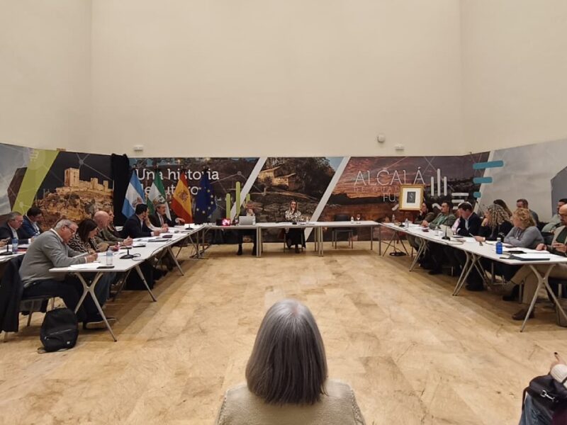 Pleno del Ayuntamiento de Alcalá de enero de 2026 - Marina Ortiz