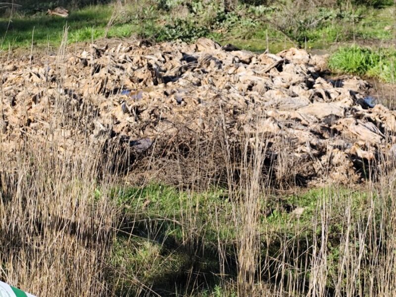 Vertederos de animales muertos en La Boticaria
