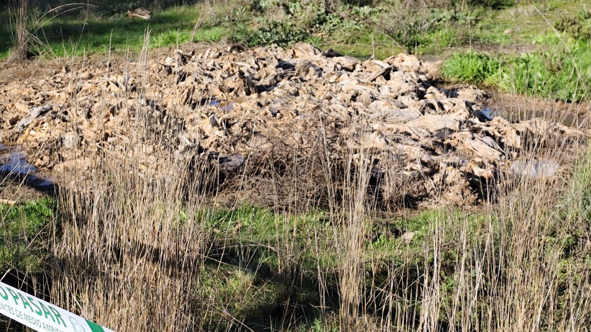 Vertederos de animales muertos en La Boticaria