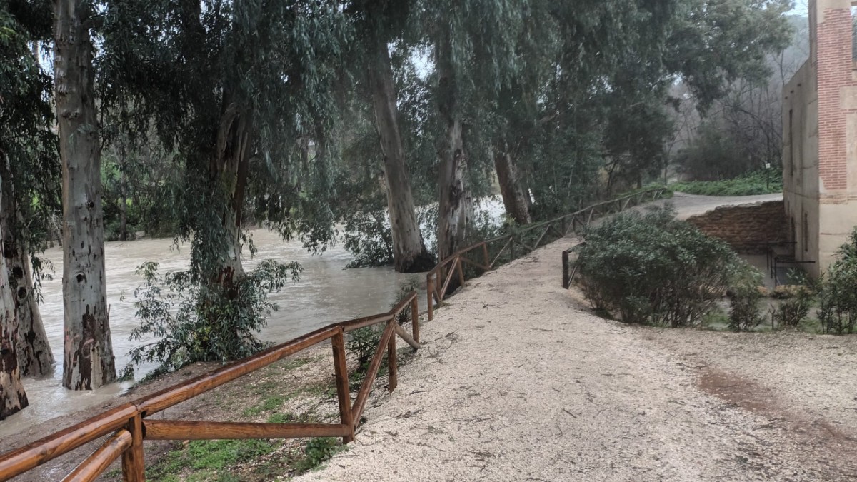 Crecida del Guadaíra a la altura del Parque Oromana