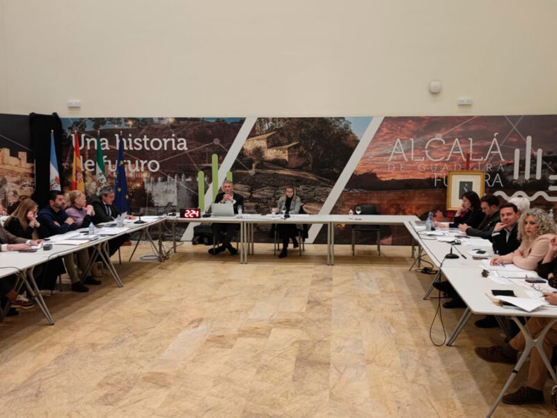 El pleno de Alcalá celebrado este 17 de febrero - Coral Gata