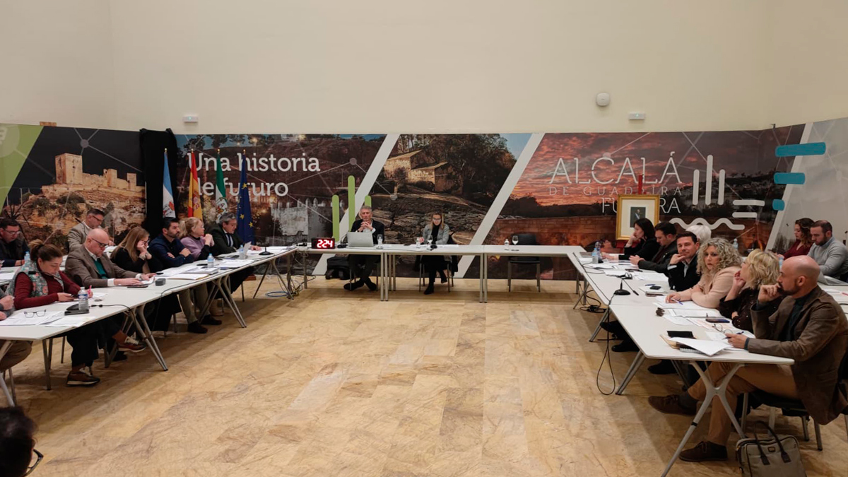 El pleno de Alcalá celebrado este 17 de febrero - Coral Gata