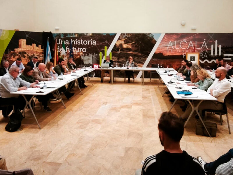 Pleno ordinario del mes de marzo en el Ayuntamiento de Alcalá - Coral Gata