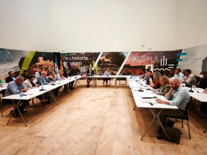 Pleno del mes de abril del Ayuntamiento de Alcalá de Guadaíra - Coral Gata