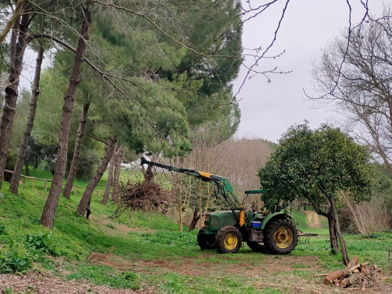 Actuaciones de limpieza en la ribera del Guadaíra. Ayuntamiento de Alcalá