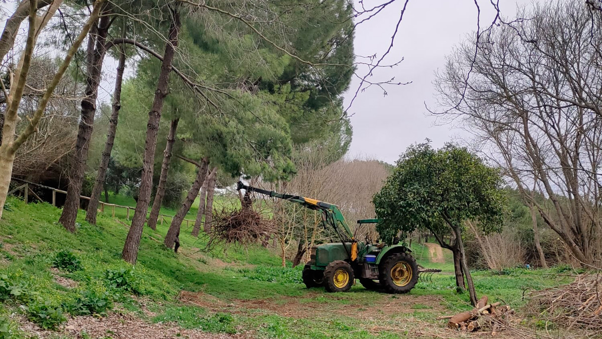 Actuaciones de limpieza en la ribera del Guadaíra. Ayuntamiento de Alcalá