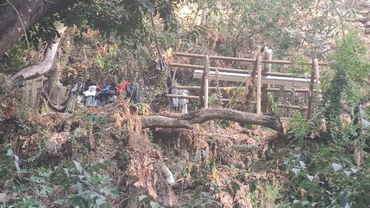 Vox denuncia la ocupación de una cueva en las riberas del Guadaíra y alerta del riesgo de incendio.
