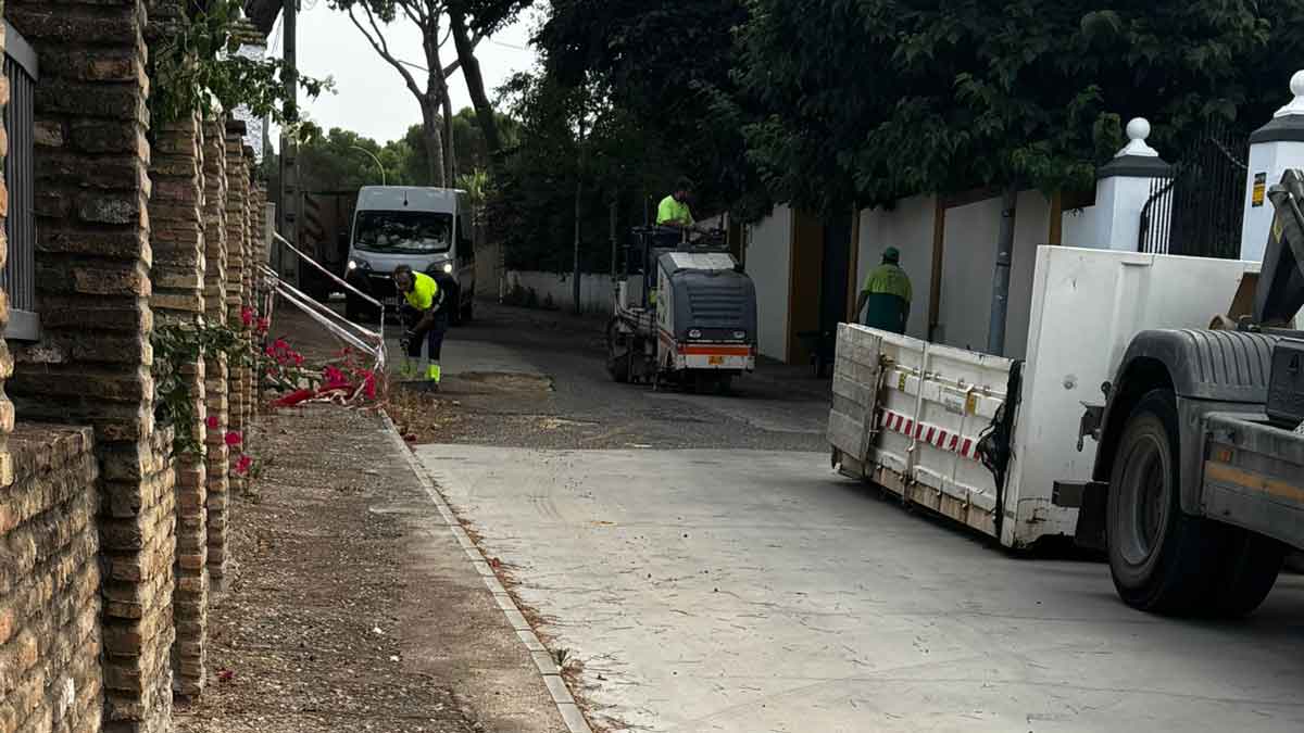 Vox denuncia el «abandono» de Pinares de Oromana y reclama mejoras en sus calles