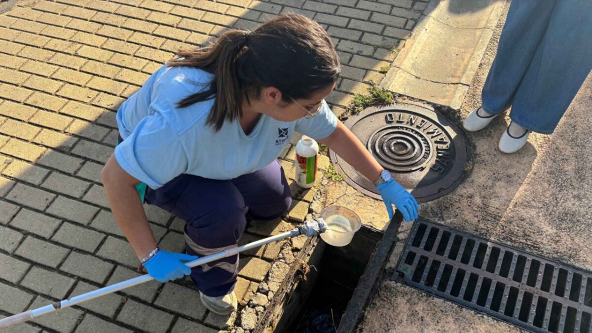 Alcalá intensifica los tratamientos contra los mosquitos en la Feria para prevenir el Virus del Nilo